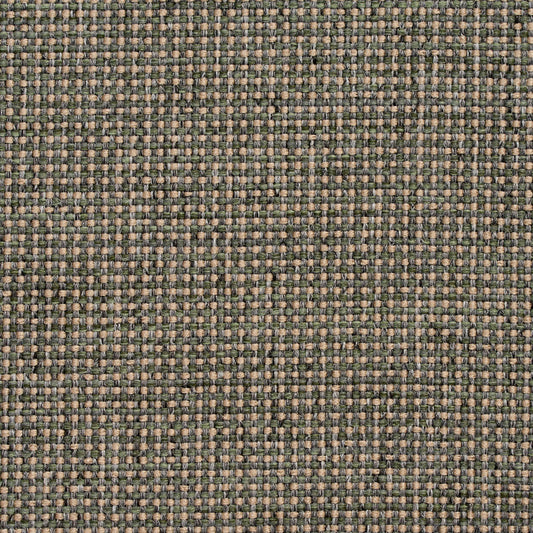 4005 Plain & Solid Aloe Green Charlotte Fabrics