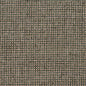 4005 Plain & Solid Aloe Green Charlotte Fabrics
