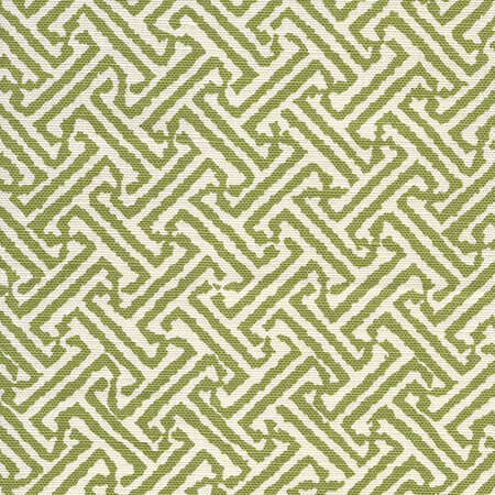 4010-37 JAVA JAVA New Jungle on Tinted Linen Cotton Quadrille Fabric