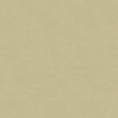 4070-11 KRAVET DESIGN 4070-11 KRAVET DESIGN DRAPERY