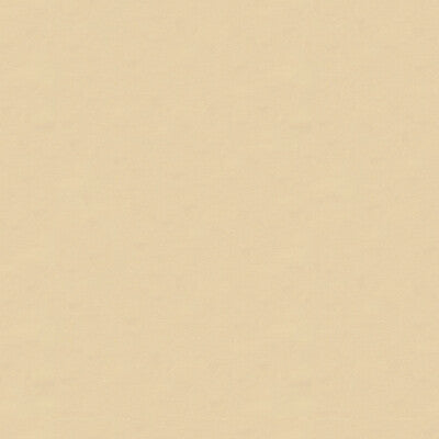 4070-116 KRAVET DESIGN 4070-116 KRAVET DESIGN DRAPERY