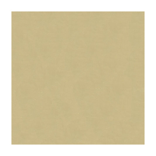 4070-16 KRAVET DESIGN 4070-16 KRAVET DESIGN Fabric