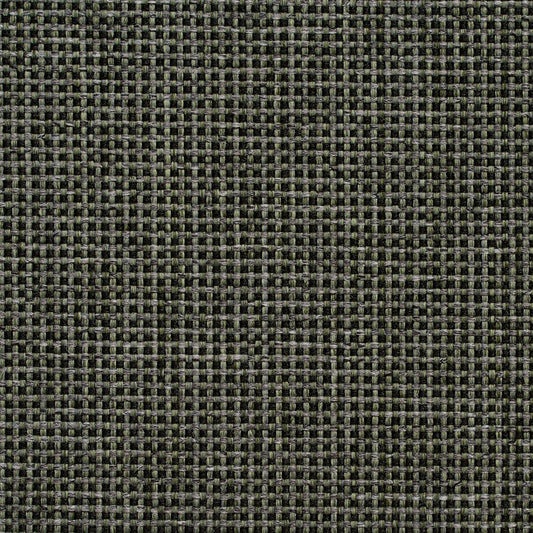4105 Plain & Solid Forest Green Charlotte Fabrics