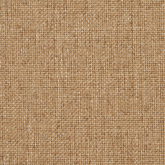 4112 Plain & Solid Wheat Beige & Taupe Charlotte Fabrics