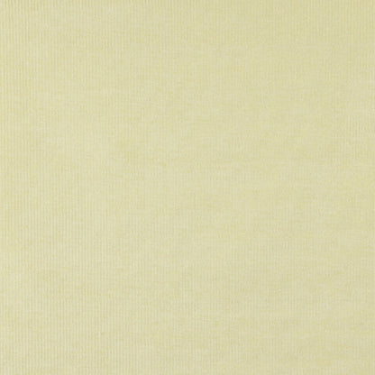 4206 Plain & Solid Maize Stripe Gold & Yellow Charlotte Fabrics