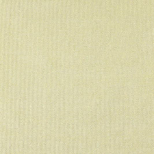4206 Plain & Solid Maize Stripe Gold & Yellow Charlotte Fabrics
