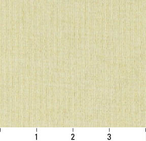 4206 Plain & Solid Maize Stripe Gold & Yellow Charlotte Fabrics