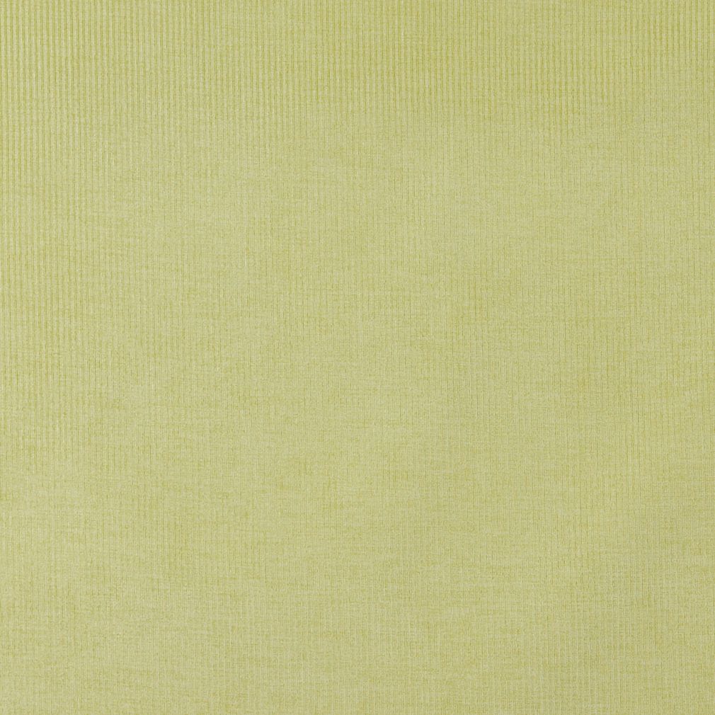 4207 Plain & Solid Spring Stripe Green Charlotte Fabrics