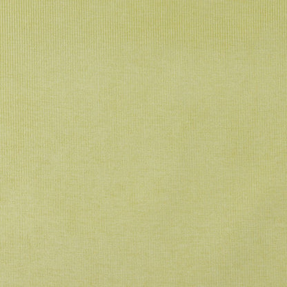 4207 Plain & Solid Spring Stripe Green Charlotte Fabrics