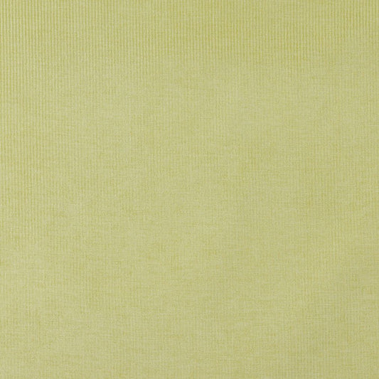 4207 Plain & Solid Spring Stripe Green Charlotte Fabrics