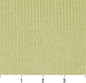 4207 Plain & Solid Spring Stripe Green Charlotte Fabrics
