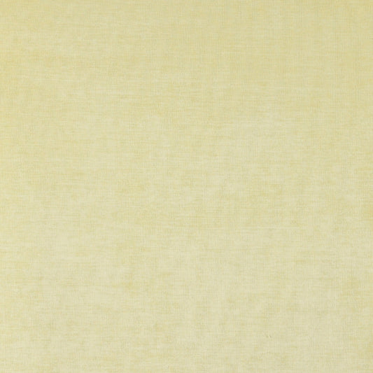 4228 Plain & Solid Maize Gold & Yellow Charlotte Fabrics