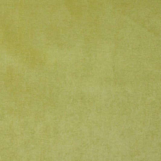 4229 Plain & Solid Spring Green Charlotte Fabrics