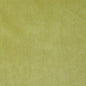 4229 Plain & Solid Spring Green Charlotte Fabrics