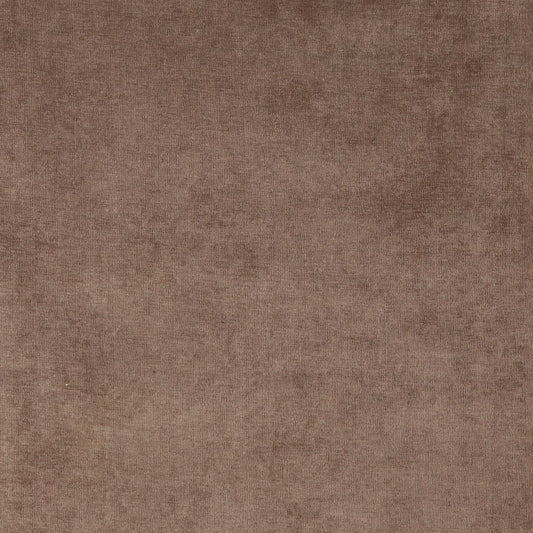 4231 Plain & Solid Taupe Brown Charlotte Fabrics