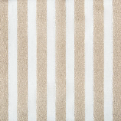 4251-16 KRAVET BASICS 4251-16 KRAVET BASICS DRAPERY