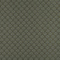 4301 Abstract & Geometric Alpine Fan Green Charlotte Fabrics