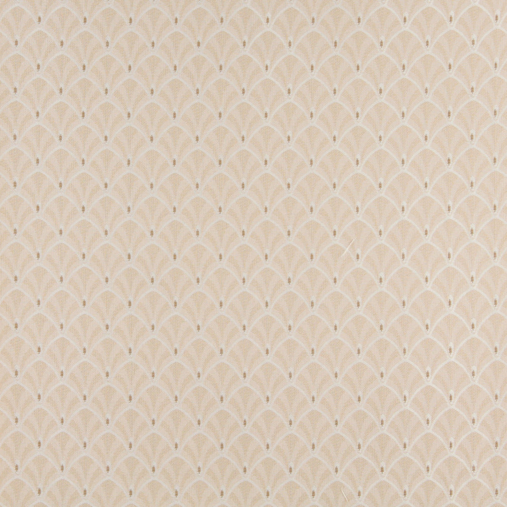 4303 nan Ecru Fan Beige & Taupe Charlotte Fabrics