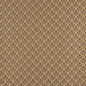4307 Abstract & Geometric Harvest Fan Brown Charlotte Fabrics
