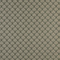 4309 Abstract & Geometric Juniper Fan Green Charlotte Fabrics