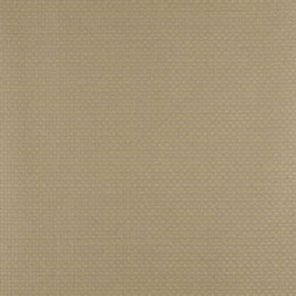 4343 Small Scale Chambray Gold & Yellow Charlotte Fabrics