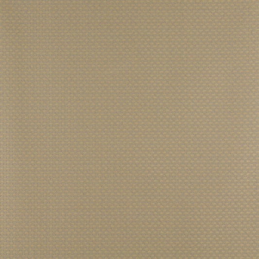4343 Small Scale Chambray Gold & Yellow Charlotte Fabrics