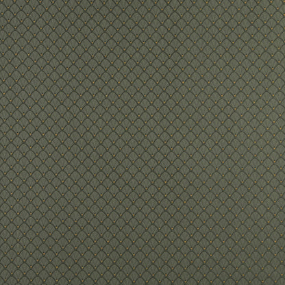 4353 Abstract & Geometric,Small Scale Alpine Shell Green Charlotte Fabrics