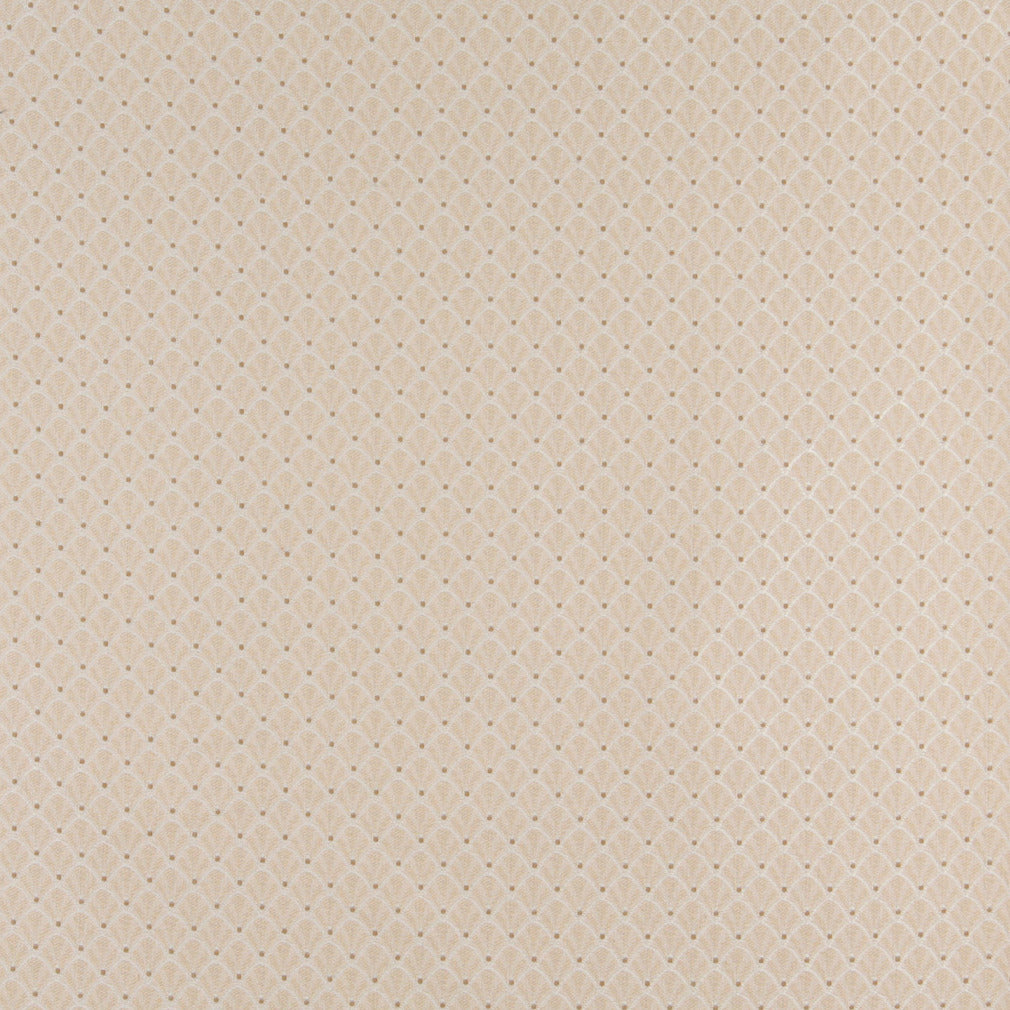 4355 Abstract & Geometric,Small Scale Ecru Shell Beige & Taupe Charlotte Fabrics
