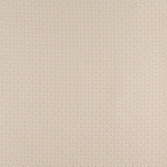 4355 Abstract & Geometric,Small Scale Ecru Shell Beige & Taupe Charlotte Fabrics
