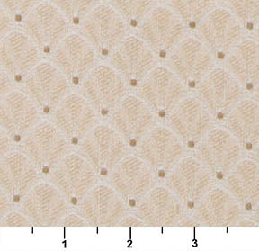 4355 Abstract & Geometric,Small Scale Ecru Shell Beige & Taupe Charlotte Fabrics