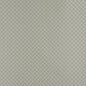 4357 Abstract & Geometric,Small Scale Spring Shell Green Charlotte Fabrics