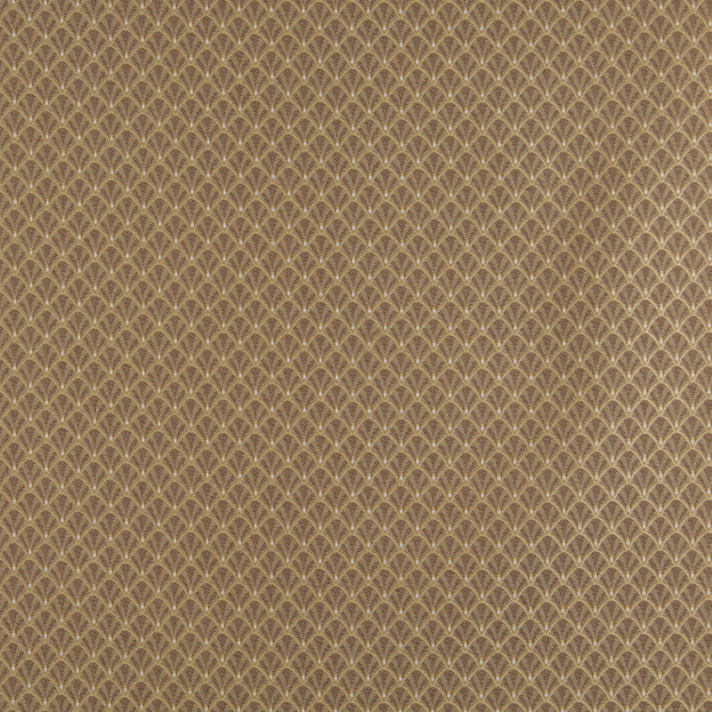 4359 Abstract & Geometric,Small Scale Harvest Shell Brown Charlotte Fabrics