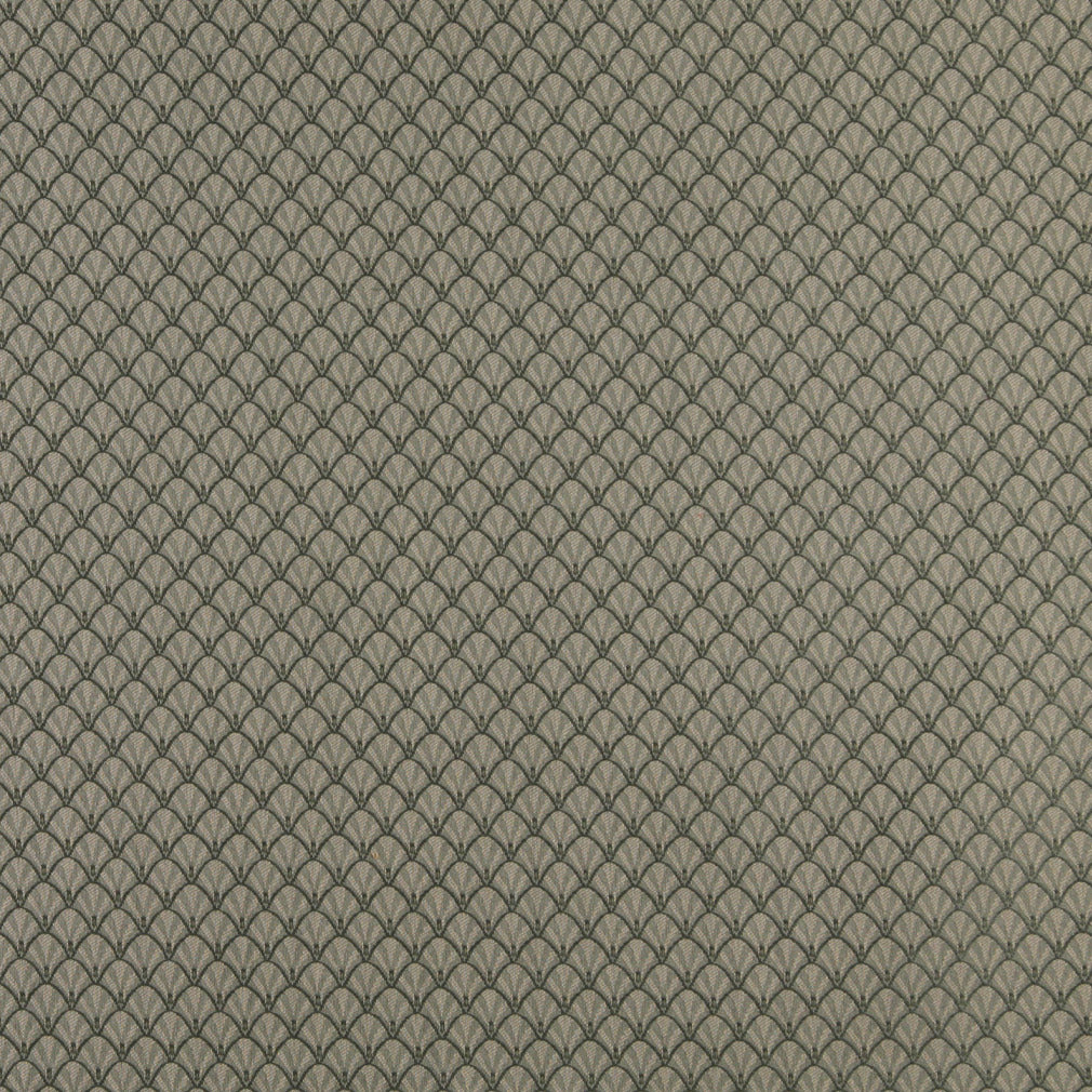 4361 Abstract & Geometric,Small Scale Juniper Shell Green Charlotte Fabrics