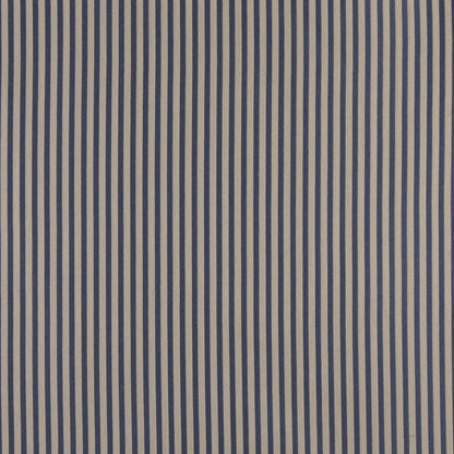 4365 Stripe Wedgewood Stripe Blue Charlotte Fabrics