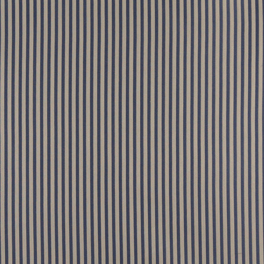 4365 Stripe Wedgewood Stripe Blue Charlotte Fabrics