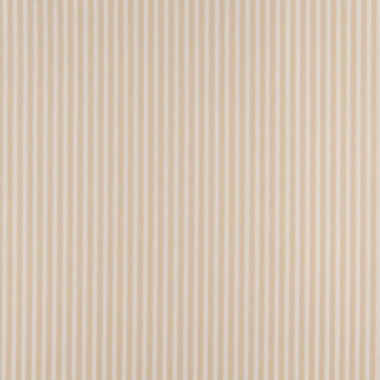 4368 Small Scale Ecru Stripe Beige & Taupe Charlotte Fabrics