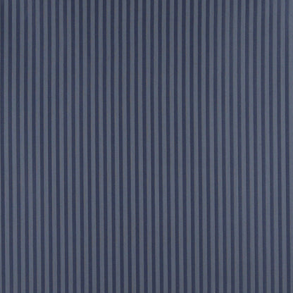 4371 Stripe Dresden Stripe Blue Charlotte Fabrics