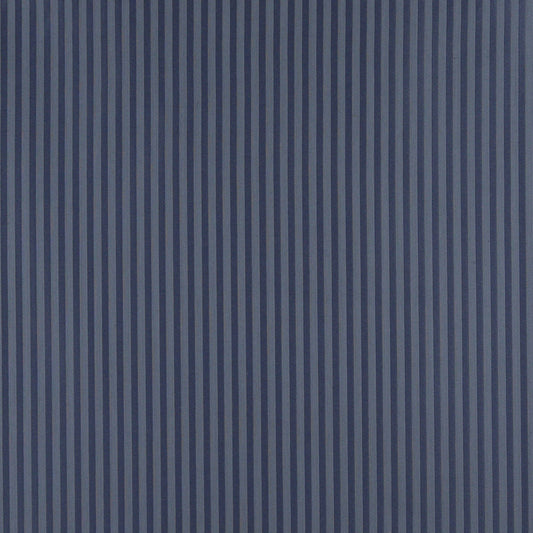 4371 Stripe Dresden Stripe Blue Charlotte Fabrics