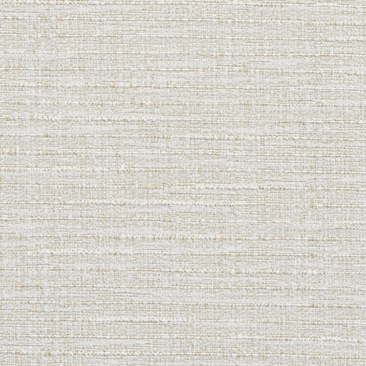 4428 Plain & Solid Natural Beige & Taupe Charlotte Fabrics
