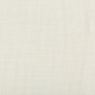 4611-1 WORKSPACE LINEN IVORY KRAVET DESIGN DRAPERY