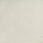 4634-1 LEAFSTICH IVORY KRAVET BASICS DRAPERY