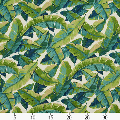 4635 Leaves,Tropical & Botanical Belize  Aqua & Teal,Green Charlotte Fabrics