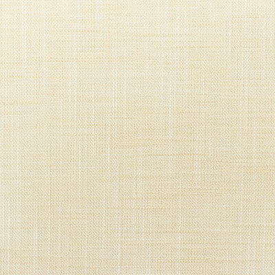 4668-111 KRAVET BASICS 4668-111 KRAVET BASICS DRAPERY