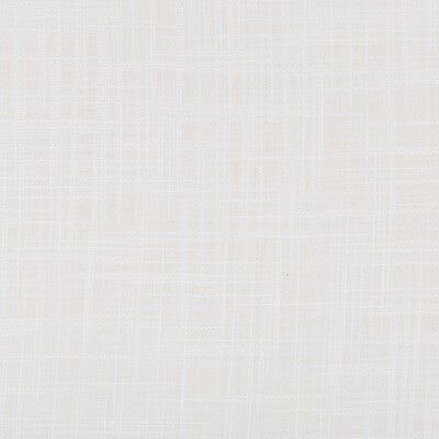 4674-101 KRAVET BASICS 4674-101 KRAVET BASICS DRAPERY