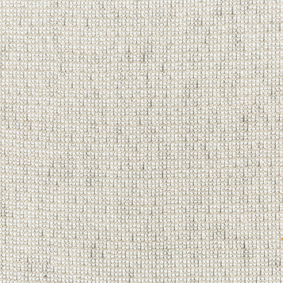 4676-11 KRAVET BASICS 4676-11 KRAVET BASICS DRAPERY