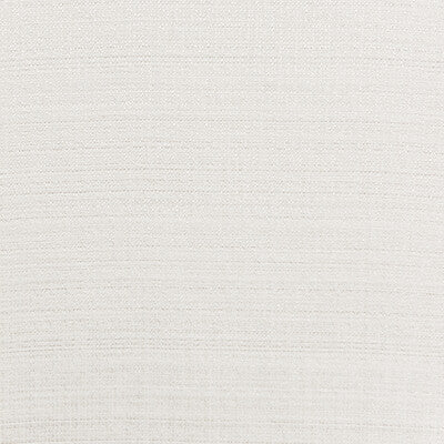 4721-101 KRAVET BASICS 4721-101 KRAVET BASICS DRAPERY