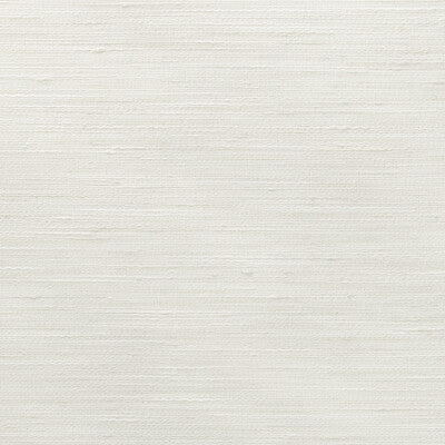 4852-101 KRAVET BASICS 4852-101 KRAVET BASICS DRAPERY