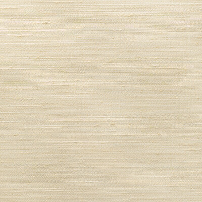 4852-111 KRAVET BASICS 4852-111 KRAVET BASICS DRAPERY