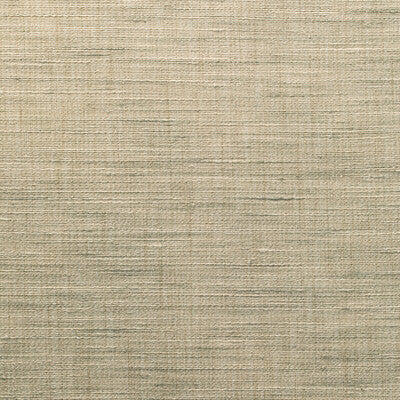 4852-116 KRAVET BASICS 4852-116 KRAVET BASICS DRAPERY