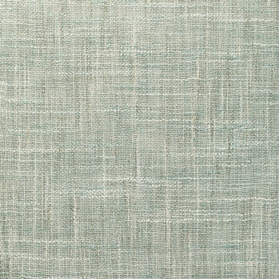 4853-113 KRAVET BASICS 4853-113 KRAVET BASICS DRAPERY